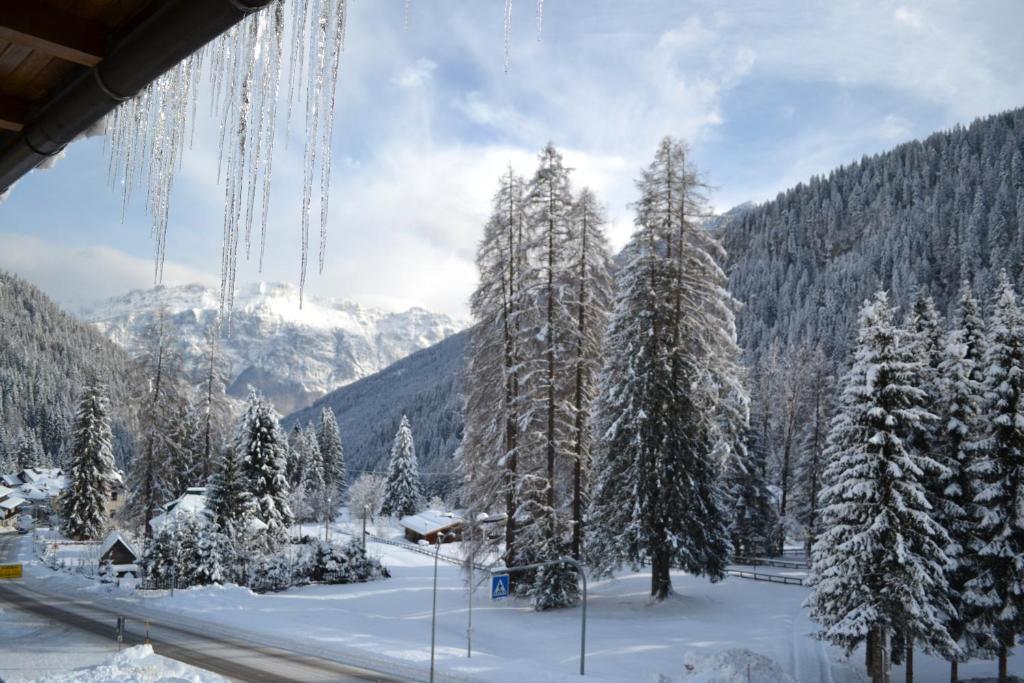Hotel Pineta Falcade Dış mekan fotoğraf